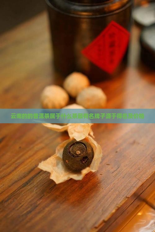 云南的的普洱茶