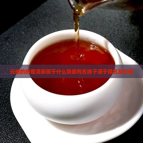 云南的的普洱茶