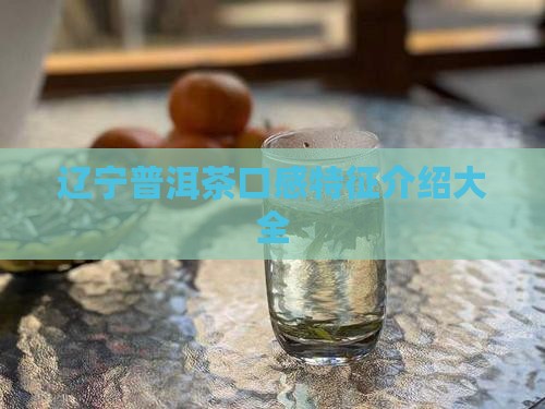 辽宁普洱茶口感特征介绍