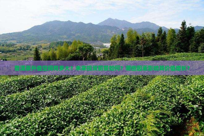 普洱茶升值空间