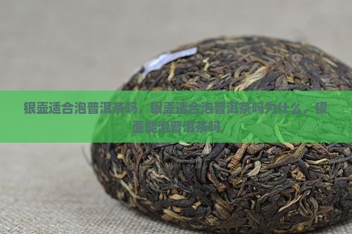 银壶适合泡普洱茶吗