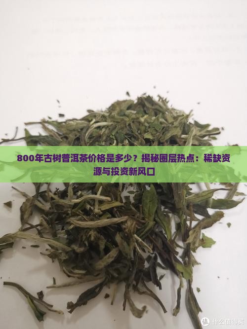 800年古树普洱茶价格