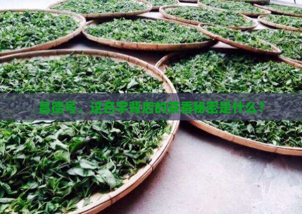 昌德号是什么茶