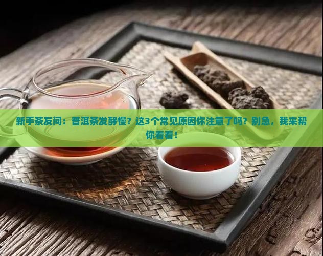 普洱茶为什么发酵不过