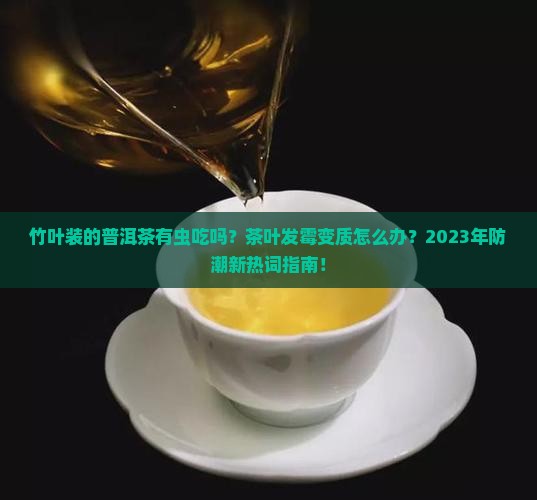 竹叶装的普洱茶有虫吃吗