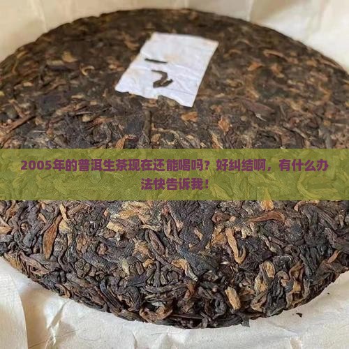2005普洱茶生茶