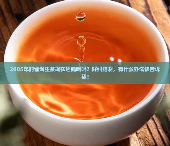 2005普洱茶生茶