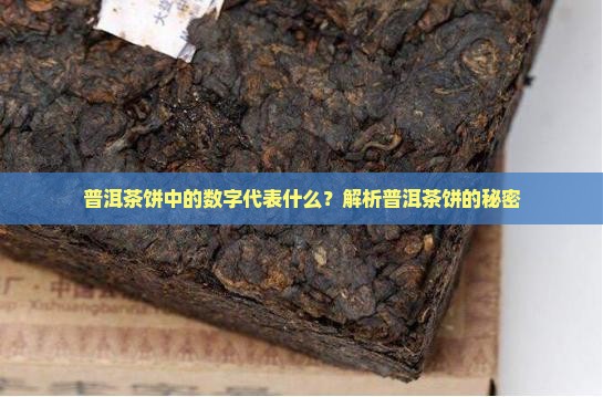 普洱茶饼中的数字代表什么
