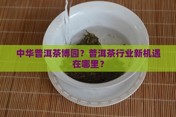中华普洱茶博园