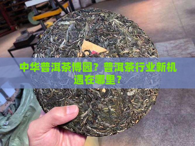 中华普洱茶博园