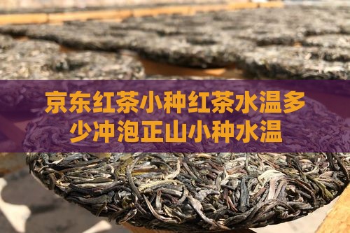 泡小种红茶的水温和时间