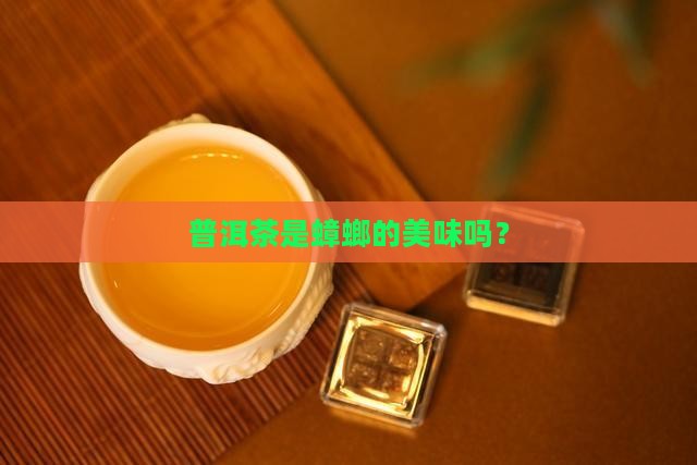 蟑螂吃普洱茶叶吗