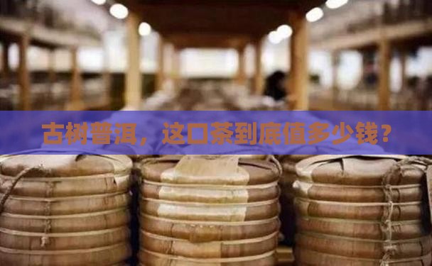 tea古树普洱茶价格