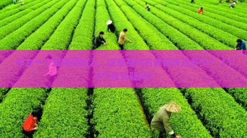 茶叶产品名称大全有哪些 茶叶产品名称大全有哪些