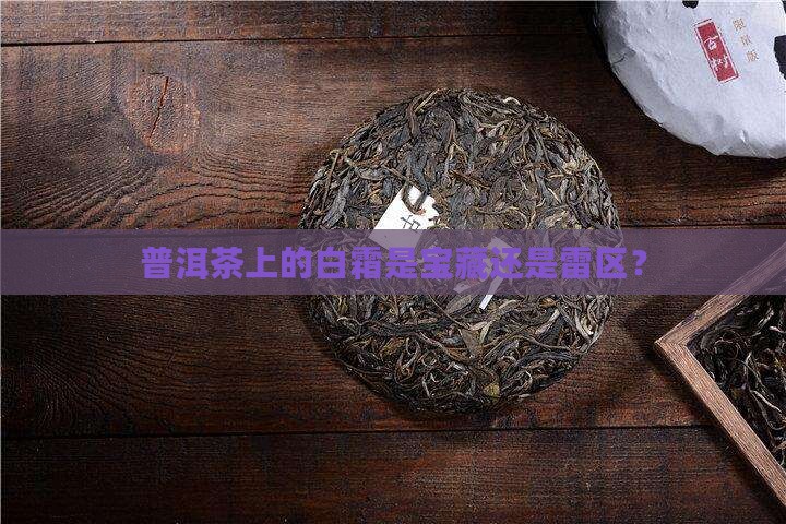 普洱茶白霜好吗
