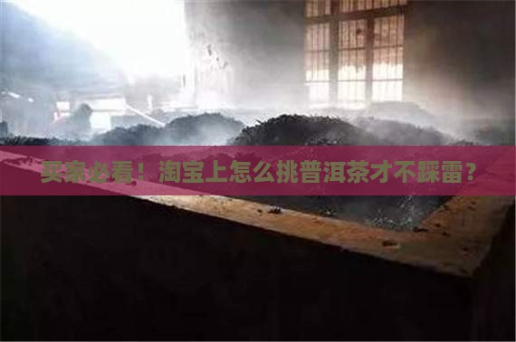 淘宝上怎么挑选普洱茶的