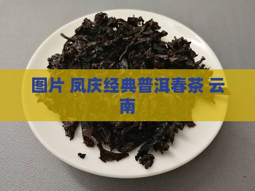 凤庆322经典普洱春茶