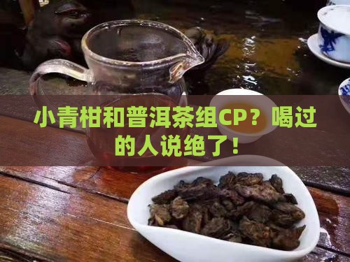 小青柑与普洱茶的结合