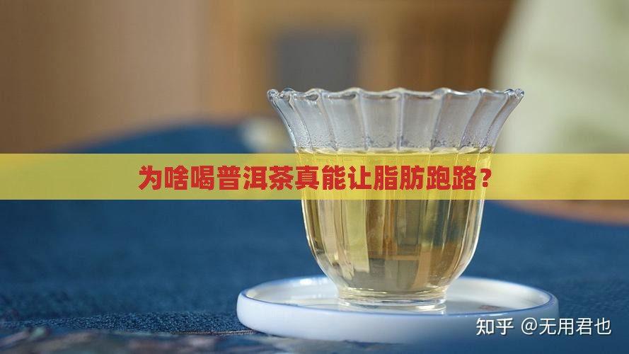 普洱茶为何能减脂