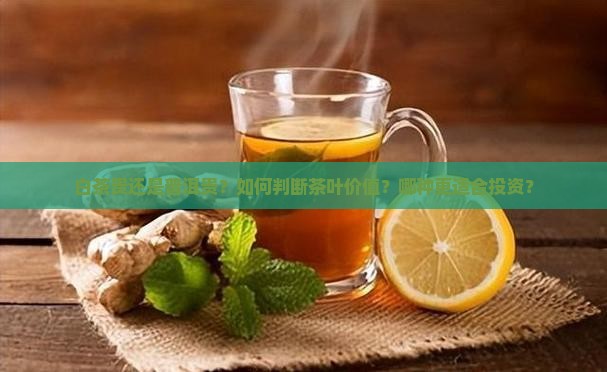 白茶贵还是普洱贵