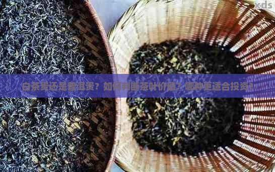 白茶贵还是普洱贵