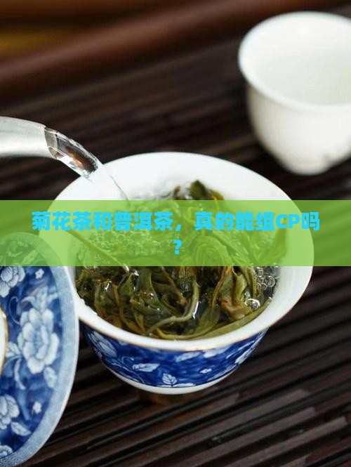 菊花茶可以配普洱茶吗