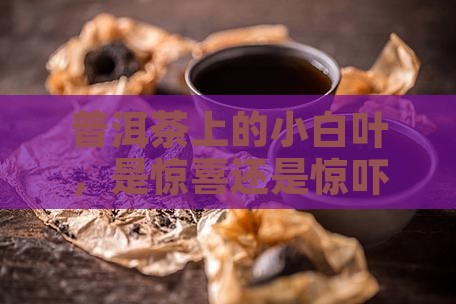 普洱茶里有白叶正常吗