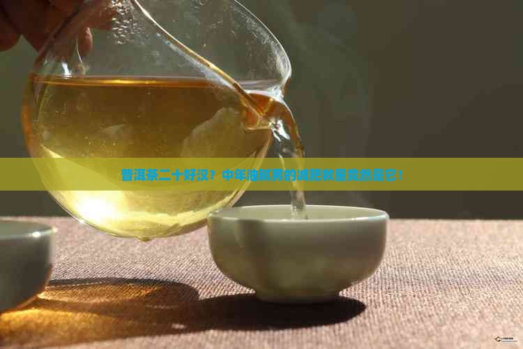 普洱茶二十好汉