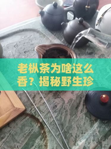 野生老枞茶是什么茶