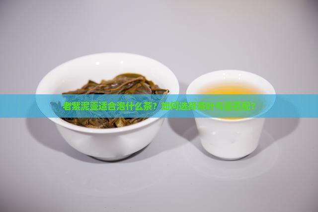 老紫泥泡什么茶好