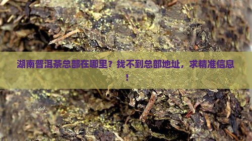 湖南普洱茶总部在哪里