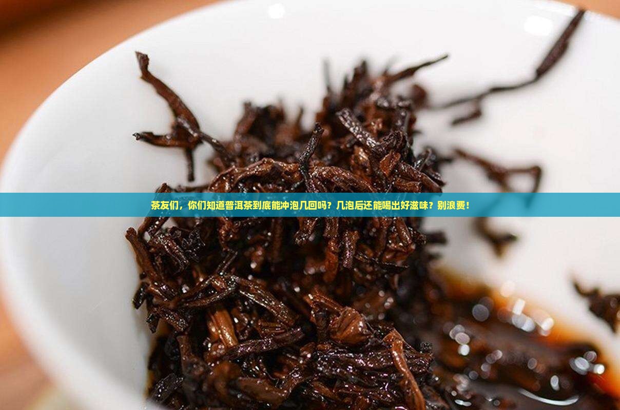 普洱茶可以冲泡几回