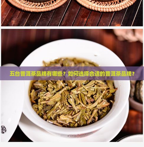 五台普洱茶品牌