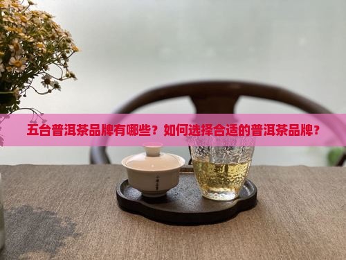 五台普洱茶品牌