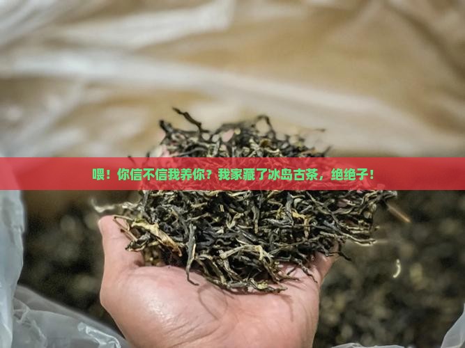 我养你啊我家有冰岛古茶