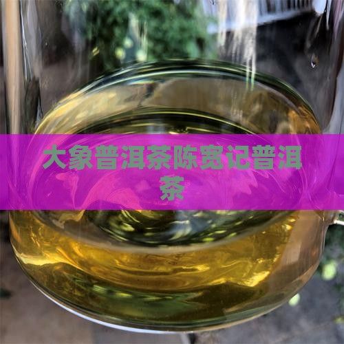 陈宽记茶庄普洱茶