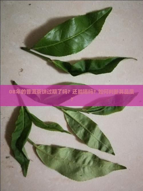 08年的普洱茶饼过期