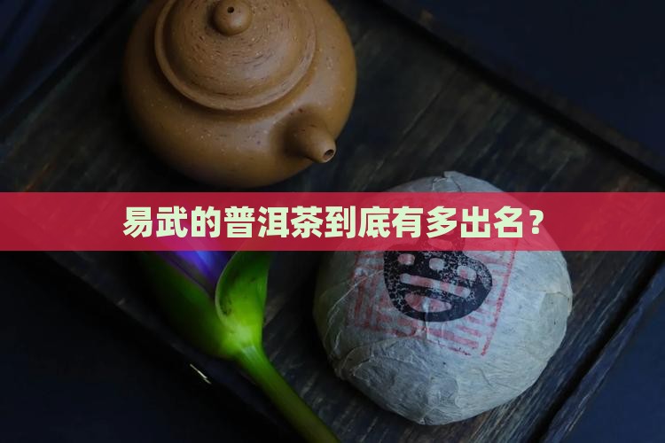 易武哪里普洱茶有名气