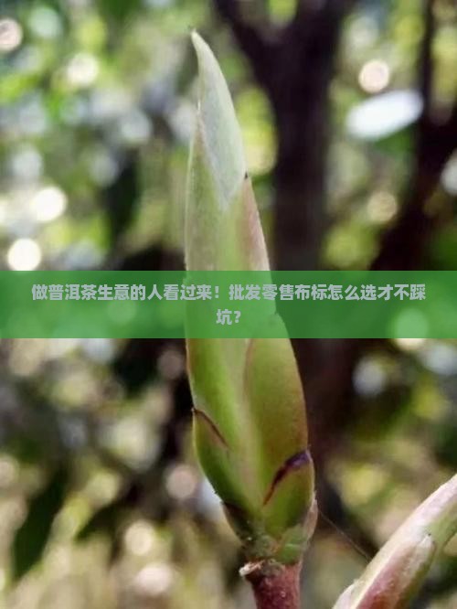 普洱茶批发和零售的布标