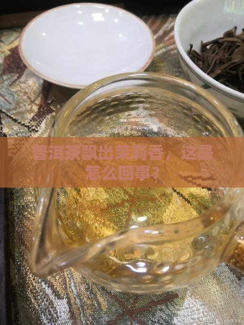 普洱茶有茉莉香味正常吗