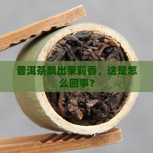 普洱茶有茉莉香味正常吗