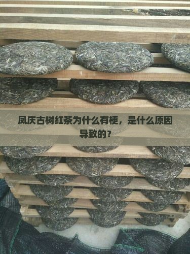 凤庆古树红茶为什么有梗
