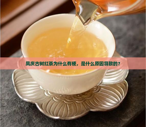 凤庆古树红茶为什么有梗