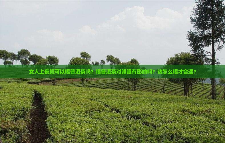 女人上夜班可以喝普洱茶吗喝