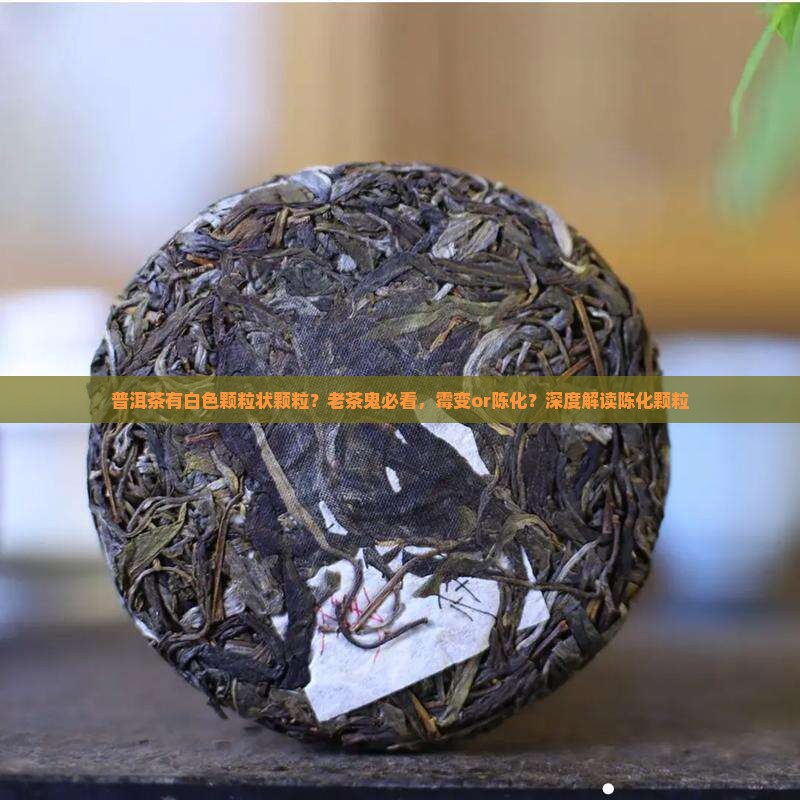 普洱茶有白色颗粒状颗粒
