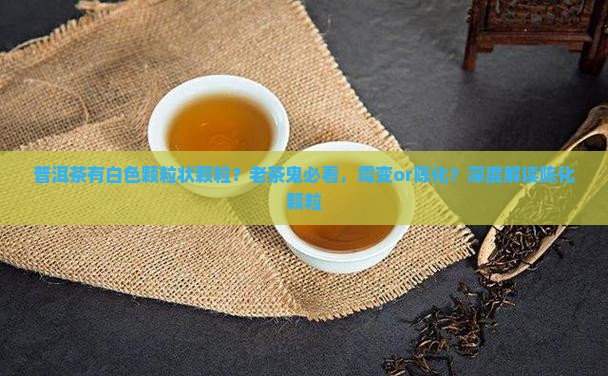 普洱茶有白色颗粒状颗粒