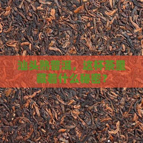 汕头熟普洱茶咨询