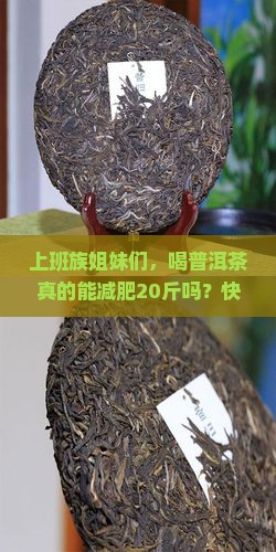 普洱茶减肥20斤