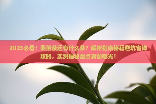 明前茶还有什么茶