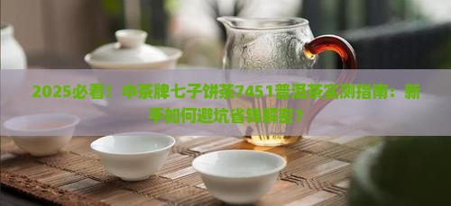 中茶牌七子饼茶7451普洱茶